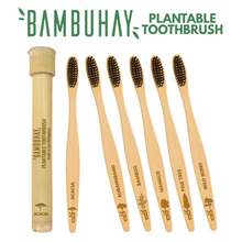 Load image into Gallery viewer, Bambuhay Plantable Toothbrush in Bamboo Casing – 1 Piece