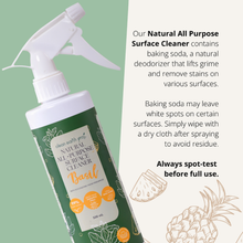 Load image into Gallery viewer, Clean Earth Project Natural All-Purpose Cleaner Spray Holy Basil 500ml | With Eco-Enzyme from Pineapple Peel