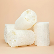 Load image into Gallery viewer, Plant-Based Loofah Made with Dried Patola by Project Refill