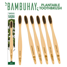 Load image into Gallery viewer, Bambuhay Plantable Toothbrush in Paper Packaging – 1 Piece | BPA-Free, Anti-Bacterial, Heat Finished