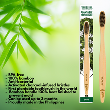 Load image into Gallery viewer, Bambuhay Plantable Toothbrush in Paper Packaging – 1 Piece | BPA-Free, Anti-Bacterial, Heat Finished
