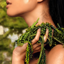 Load image into Gallery viewer, Pure Culture Wild Algae Glow Up Serum 30g | Vitamin C + Hyaluronic Acid + Niacinamide, Brighten Probiotic Booster
