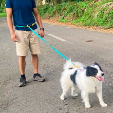 Load image into Gallery viewer, Troy Active Multifunction Waterproof PVC Coated Dog Leash 2.1m