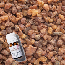 Load image into Gallery viewer, Aurae Natura 100% Pure and Natural Frankincense Essential Oil 5ml
