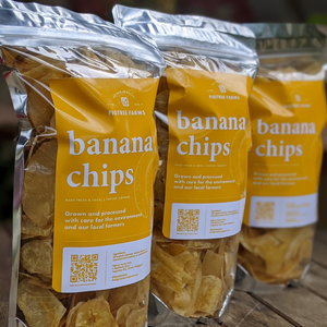 Figtree Farms Banana Chips 240g | Organic, No Preservatives, Made Fresh and Local