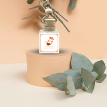 Load image into Gallery viewer, Scents by Ecoshoppe PH Hanging Car or Room Diffuser 10ml