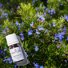 Load image into Gallery viewer, Aurae Natura 100% Pure and Natural Rosemary Essential Oil 5ml
