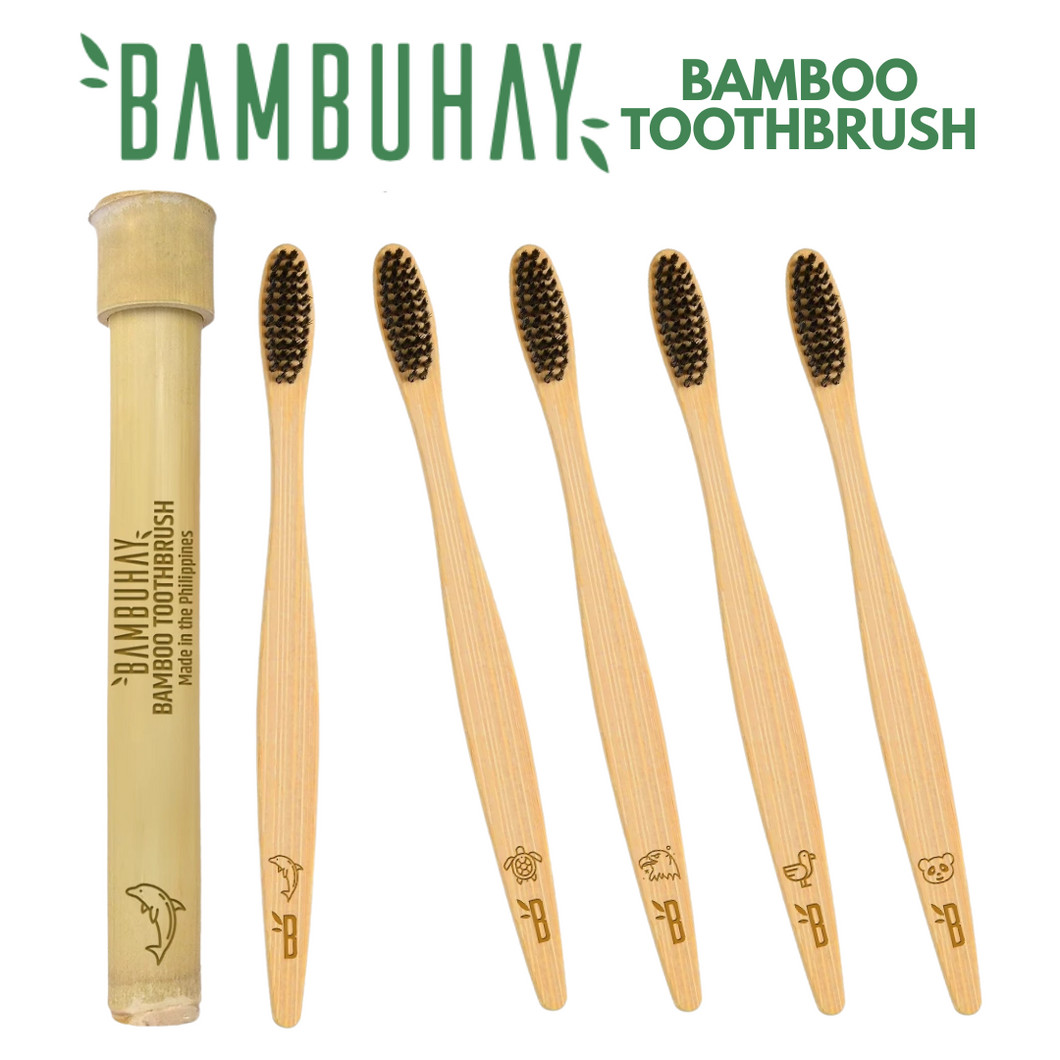 Bambuhay Bamboo Toothbrush in Bamboo Casing – 1 Piece | BPA-Free, Anti-Bacterial, Heat Finished