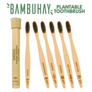 Bambuhay Plantable Toothbrush in Bamboo Casing – 1 Piece