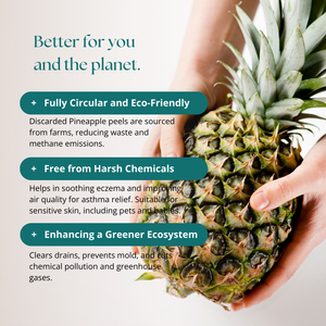 Clean Earth Project Natural Baby Bottle Cleanser Mint 300ml | With Eco-Enzyme from Pineapple Peel