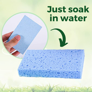 Colored Kitchen Compressed Cellulose Sponge Biodegradable Natural Sponges for Dishes Environmentally Friendly Wood Pulp Sponge for Kitchen Bathroom by Project Refill
