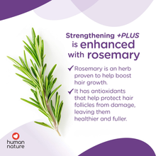 Load image into Gallery viewer, Human Nature Strength +PLUS Shampoo + Rosemary Oil Bundle | All-Natural, Fights Hairfall, No Sulfates, Parabens
