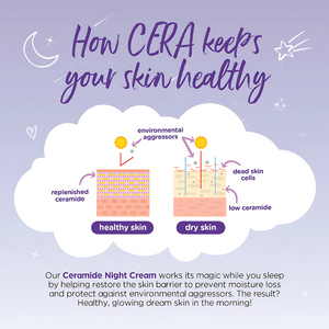 Human Nature Ceramide Skin-Renewing Night Cream 50ml | With Jojoba and Sunflower Oil for Overnight Moisturization That Helps Visibly Renew Skin