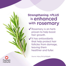 Load image into Gallery viewer, Human Nature Strengthening +PLUS Rosemary Conditioner To Help Hair Regrowth, Fight Hairfall 200ml | No Mineral Oil, Parabens, Silicones
