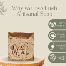 Load image into Gallery viewer, Lush by SBH Choco Mudslide Natural Handcrafted Artisan Detoxifying Body Soap 120g
