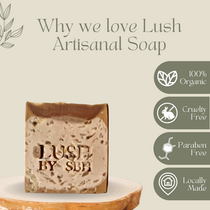 Lush by SBH Choco Mudslide Natural Handcrafted Artisan Detoxifying Body Soap 120g