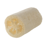 Plant-Based Loofah Made with Dried Patola by Project Refill
