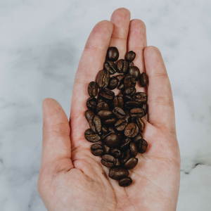 Figtree Farms	Benguet Coffee Blend 250g | Robusta, Excelsa – Dark Roast, Regular Blend