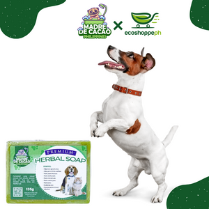 Madre cacao dog 2024 shampoo