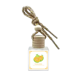 Scents by Ecoshoppe PH Hanging Car or Room Diffuser 10ml